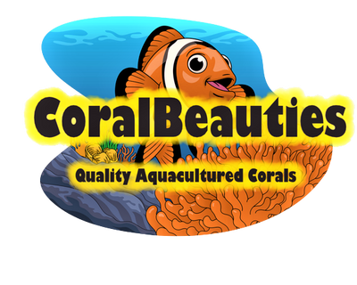 CoralBeauties
